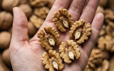 Artsen onthullen dat het eten van noten… Meer zien