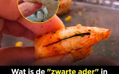 De waarheid over de zwarte ader van garnalen: wat is het en wat gebeurt er als je het eet?