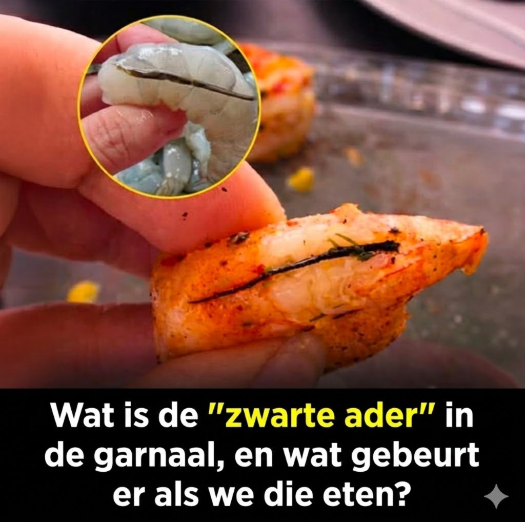 De waarheid over de zwarte ader van garnalen: wat is het en wat gebeurt er als je het eet?